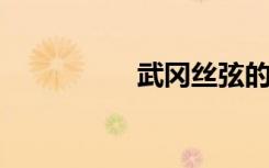 武冈丝弦的意思是什么