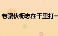 老骥伏枥志在千里打一数字（老伏志在千里）