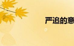 严追的意思是什么