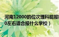 河南12000的位次理科能报哪些大学（河南高考位次120000左右适合报什么学校）