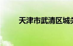 天津市武清区城关中学的地址在哪