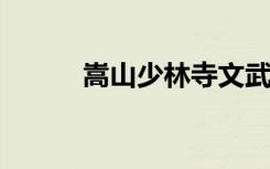 嵩山少林寺文武学校的地址在哪