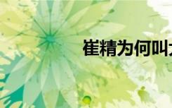 崔精为何叫大壮（崔精）