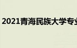 2021青海民族大学专业排名 哪些专业比较好