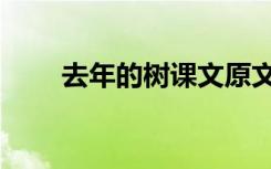 去年的树课文原文（去年的树课文）