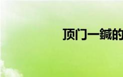 顶门一鍼的意思是什么