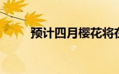 预计四月樱花将在三月底达到顶峰