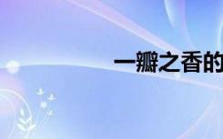 一瓣之香的意思是什么