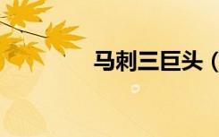 马刺三巨头（马刺三巨头）