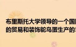 布里斯托大学领导的一个国际专家团队正接近破解一个古老的贸易和装饰鸵鸟蛋生产的5000年之谜