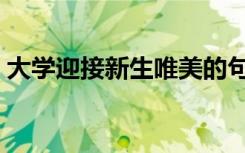 大学迎接新生唯美的句子（朋友圈迎新文案）