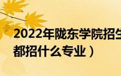 2022年陇东学院招生计划及招生人数（各省都招什么专业）