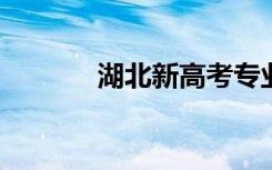 湖北新高考专业组是什么意思