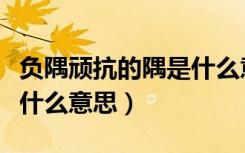负隅顽抗的隅是什么意思啊（负隅顽抗的隅是什么意思）