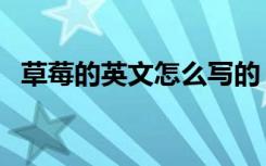 草莓的英文怎么写的（草莓的英文怎么写）