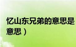 忆山东兄弟的意思是（九月九日忆山东兄弟的意思）
