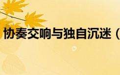 协奏交响与独自沉迷（协奏交响与独自沉迷）