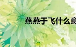 燕燕于飞什么意思（燕燕于飞）