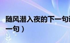 随风潜入夜的下一句诗句是（随风潜入夜的下一句）