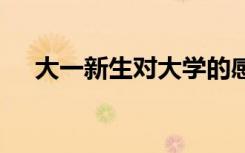 大一新生对大学的感受 初入大学的感悟