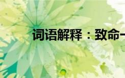 词语解释：致命一击的意思是什么