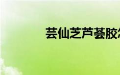 芸仙芝芦荟胶怎么样（芸仙）