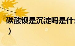 碳酸钡是沉淀吗是什么颜色（碳酸钡是沉淀吗）