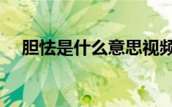 胆怯是什么意思视频（胆怯是什么意思）