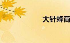 大针蜂简笔画步骤