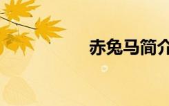 赤兔马简介（赤兔马）