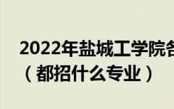 2022年盐城工学院各省招生计划及招生人数（都招什么专业）