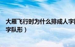 大雁飞行时为什么排成人字队形（大雁飞行时为什么排成人字队形）