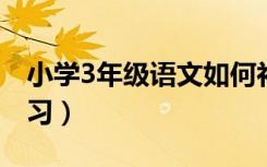 小学3年级语文如何补习（小学生语文怎么补习）