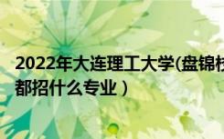 2022年大连理工大学(盘锦校区)招生计划及招生人数（各省都招什么专业）