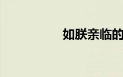 如朕亲临的意思是什么