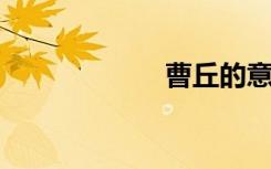 曹丘的意思是什么