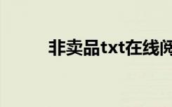 非卖品txt在线阅读（非卖品txt）