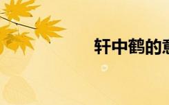 轩中鹤的意思是什么