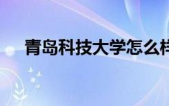 青岛科技大学怎么样好不好 是好学校吗