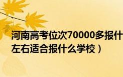 河南高考位次70000多报什么学校（河南高考位次130000左右适合报什么学校）