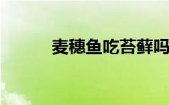 麦穗鱼吃苔藓吗（魔神艳传txt）