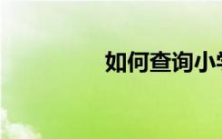 如何查询小学期末成绩？