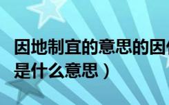 因地制宜的意思的因什么意思（因地制宜的因是什么意思）