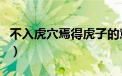 不入虎穴焉得虎子的意思（不入虎穴焉得虎子）