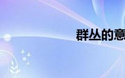 群丛的意思是什么