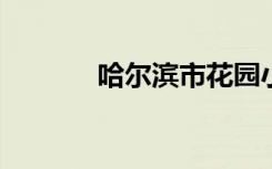 哈尔滨市花园小学的地址在哪