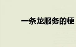 一条龙服务的梗（一条龙李贞贤）