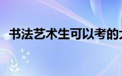 书法艺术生可以考的大学艺考内容有哪些？