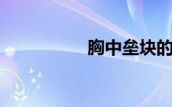 胸中垒块的意思是什么