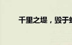 千里之堤，毁于蚁穴的意思是什么